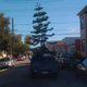 Image for article titled Hey Y'all, Watch This! Adventures In Arboreal Locomotion, Toyota Style